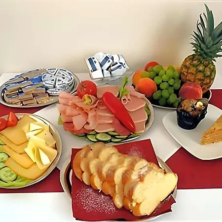 City Hotel Brno فندق 3*